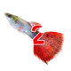 ������ ������������ Rifmoplut