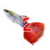 Rifmoplut