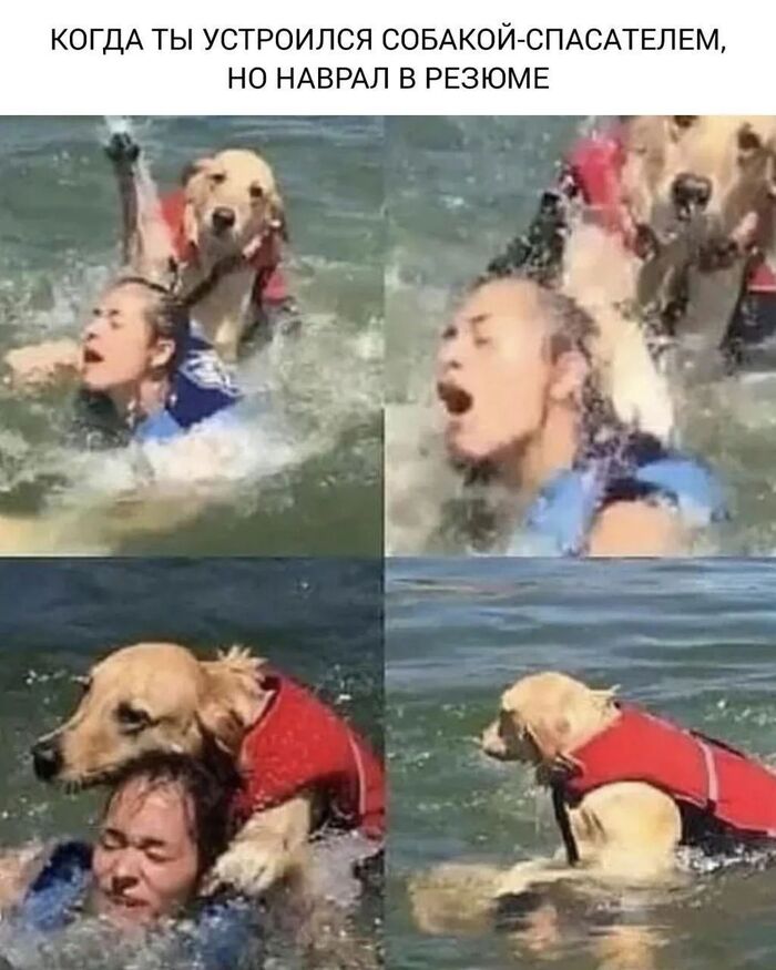 �������� � ��������� �������� ����