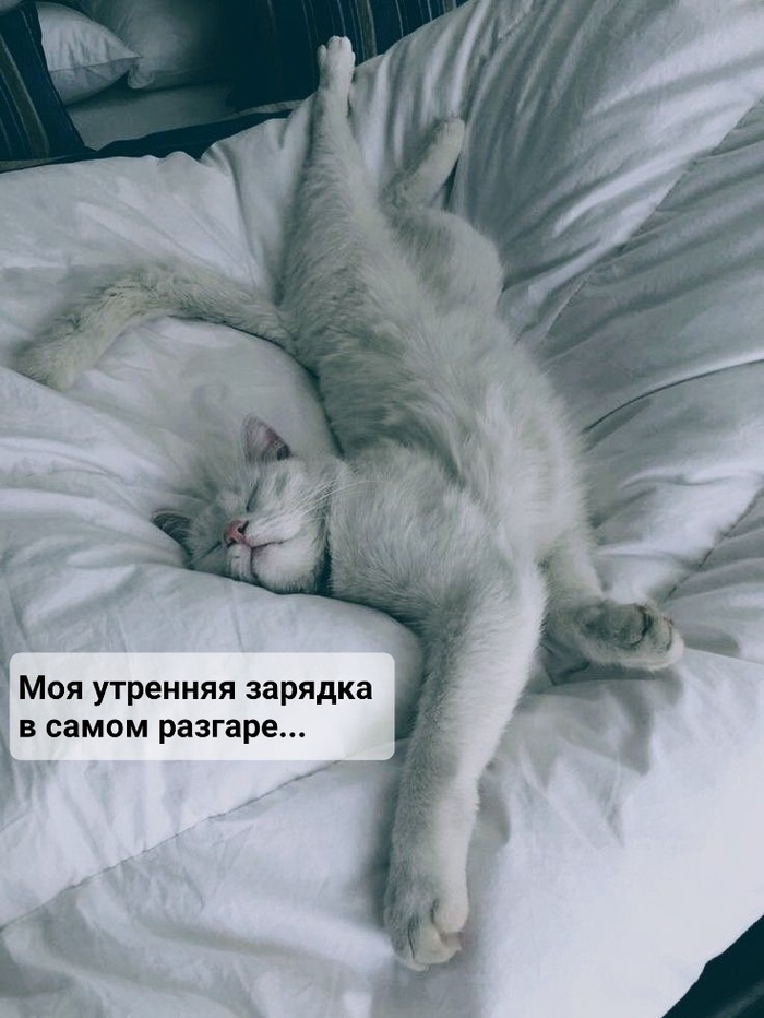 �������� �������...
