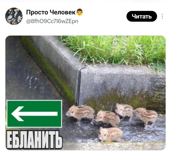 ����� ��� ��� �� �� ������