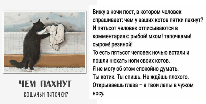 Молодые котоводы называли это модным словом "флешмоб", а люди старшего возраста – поветрием, но не суть важно. Смысл заключался в том, чтобы понюхать кошачьи пятки, и сообщить другим пользователям соцсетей чем они пахнут.