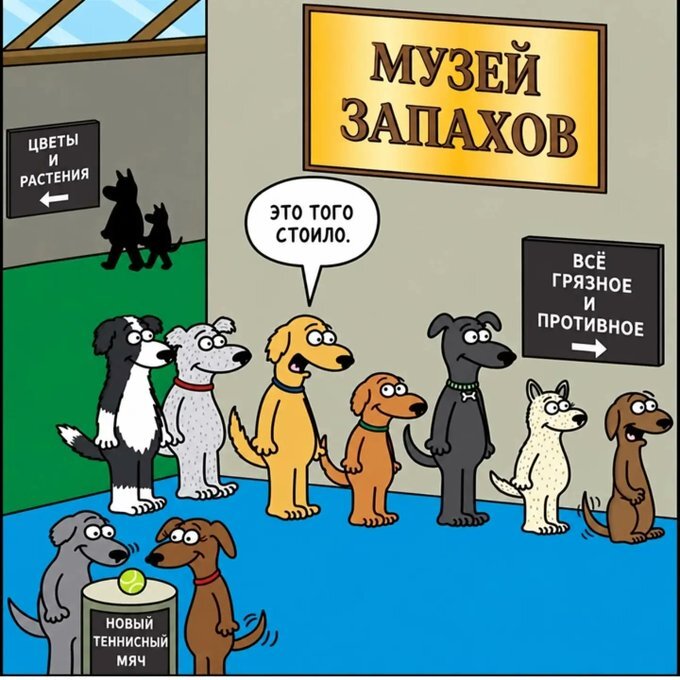Они такие
