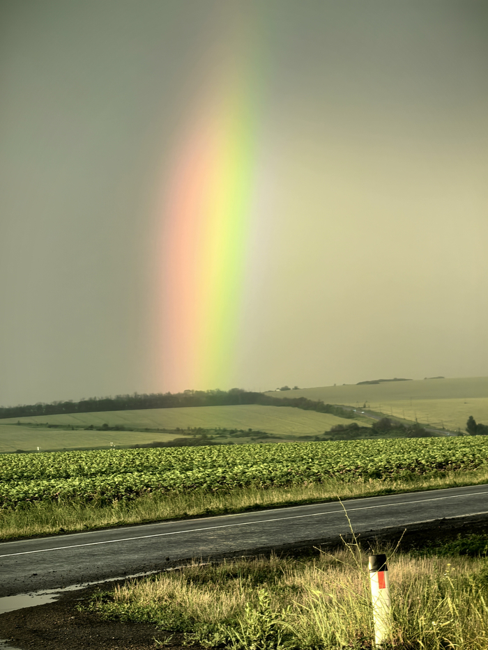 Rainbow