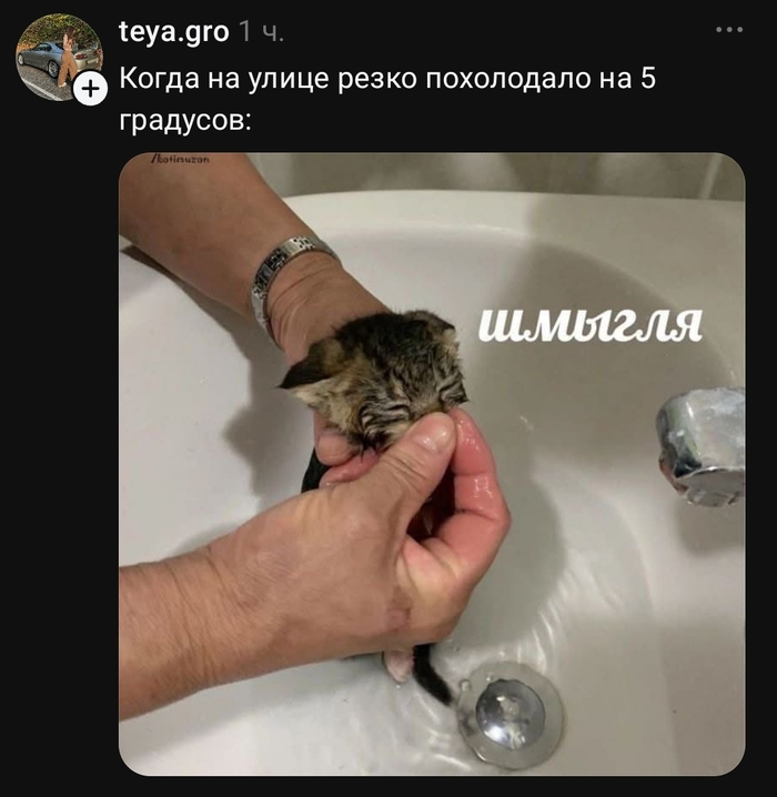 Осенние вайбы