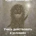 Zinetta