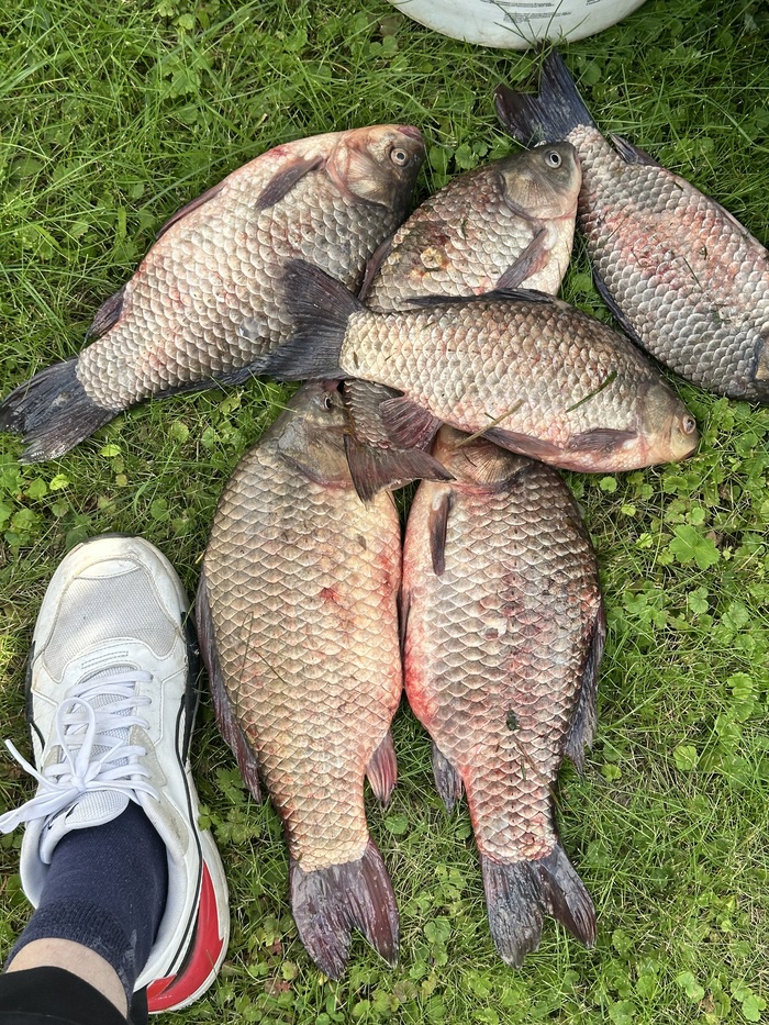 ��� ����� �������� �� �����