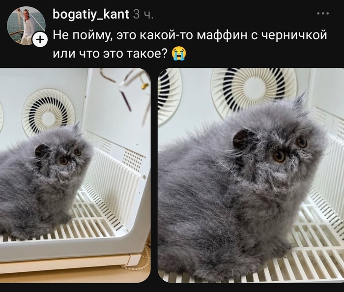 ������ ��!