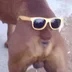VRGRGLELE