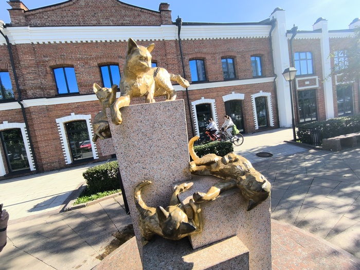 Сквер сибирских кошек