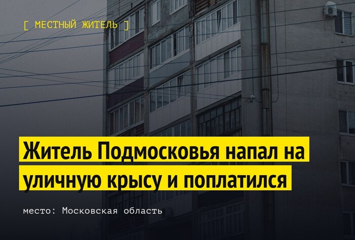 Житель Подмосковья напал на уличную крысу и поплатился