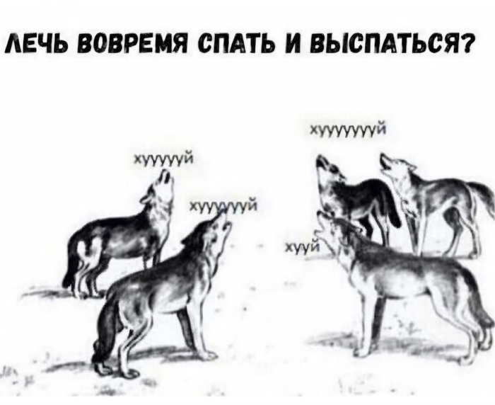 ���� 13. ����� �� 13.10.2026