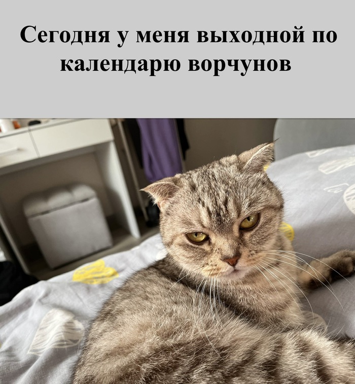 <!--noindex--><a href="https://pikabu.ru/story/den_vorchuna_otmechaetsya_segodnya_14426986?u=https%3A%2F%2Fmax.ru%2Fchannel_draft_ideas_piter%2FAaE_sgGAP2s&t=https%3A%2F%2Fmax.ru%2Fchannel_draft_ideas_piter%2FAaE_sgGAP2s&h=673d99eae0704c0272cddb7661d2baac295e5cb5" title="https://max.ru/channel_draft_ideas_piter/AaE_sgGAP2s" target="_blank" rel="nofollow noopener">https://max.ru/channel_draft_ideas_piter/AaE_sgGAP2s</a><!--/noindex-->
