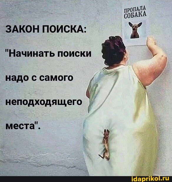 "З" - Законы