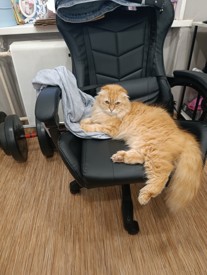 ����� - ����� �������...