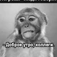 ������ ������������ batja02