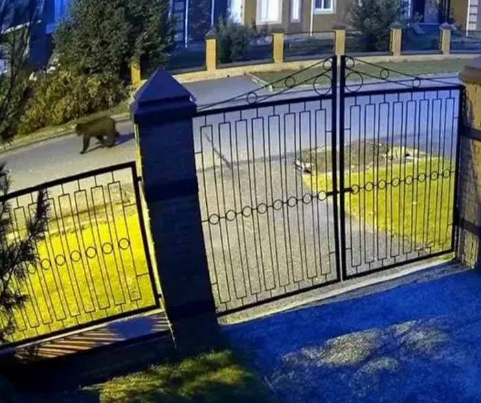 ������� ���������� �� ����� ������� � ������