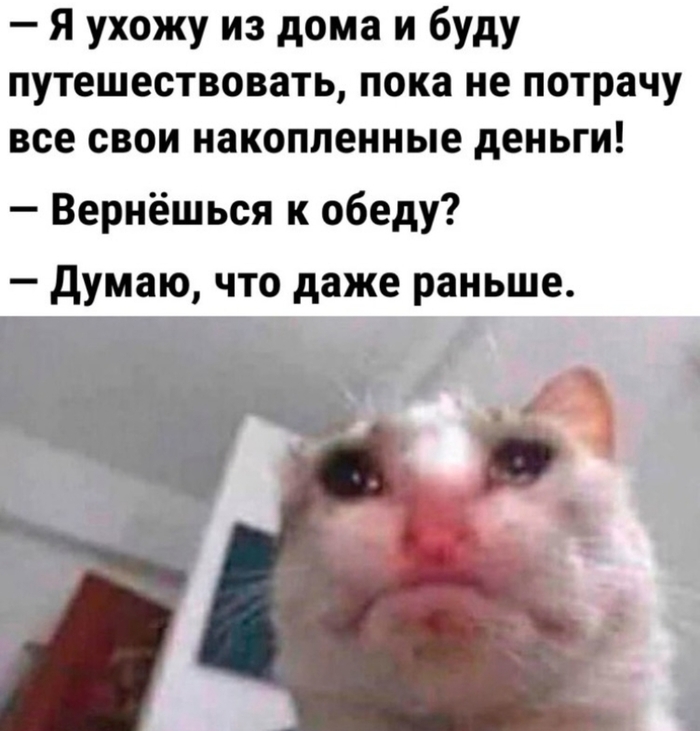 ���� �� ������ ����