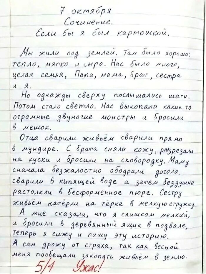 Сочинение