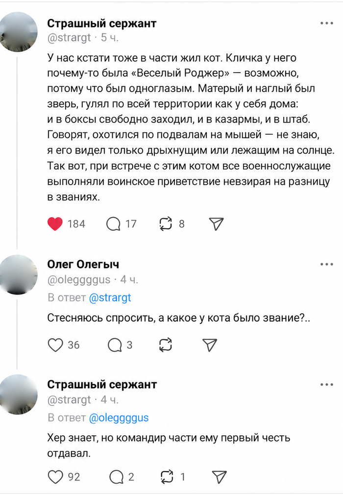 ����� monsd � �"� ���� ����, ���� ������ �� ����������"�