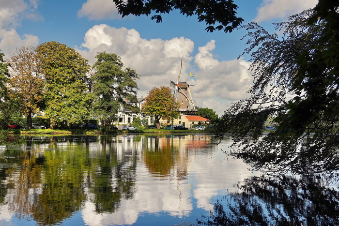 ���� Kralingse Bos � ����������.