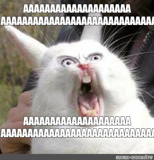 �� ��� �� ����-�� �����?! 