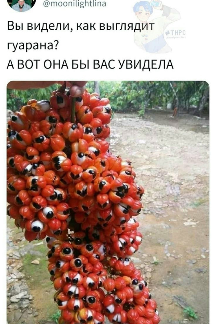 Узрите