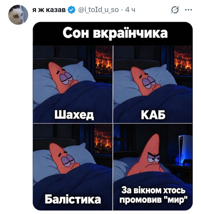 ׸���� ����
