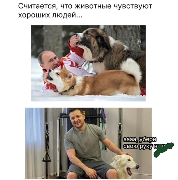 Картинка носит исключительно юмористический характер.
