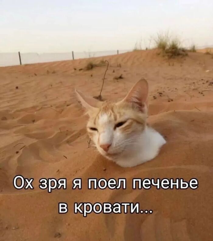 Мем