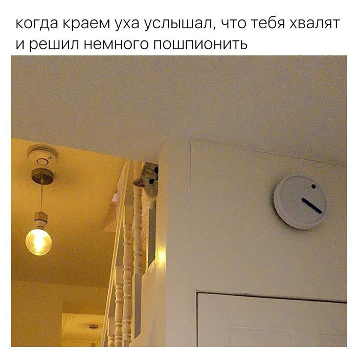 Подслушка