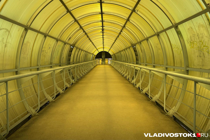����� ������ / <!--noindex--><a href="https://pikabu.ru/story/top5_ublyudskikh_mest_vladivostoka_sostavil_zhitel_goroda_14460421?u=http%3A%2F%2FVLADIVOSTOK1.RU&t=VLADIVOSTOK1.RU&h=65ff03fe28c7228e4127e83457e6f4a14f0430f6" title="http://VLADIVOSTOK1.RU" target="_blank" rel="nofollow noopener">VLADIVOSTOK1.RU</a><!--/noindex-->