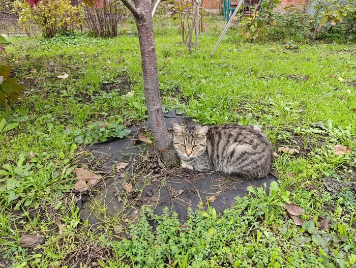 ������ - ������ ����������
