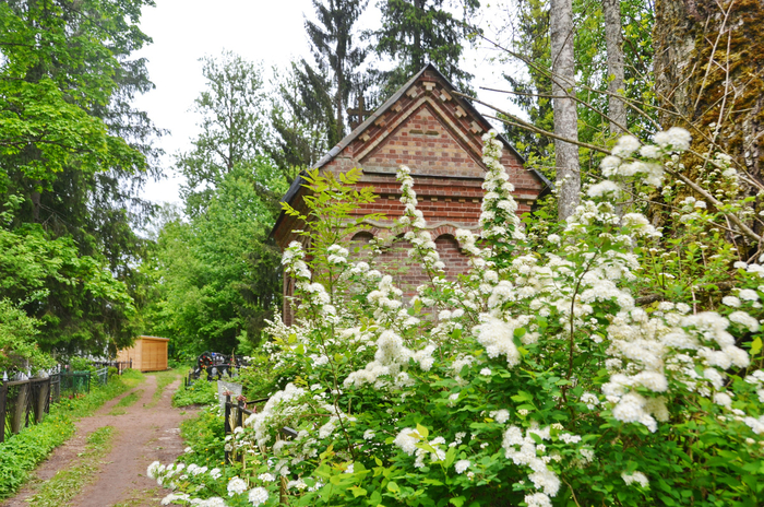 Кладбище.