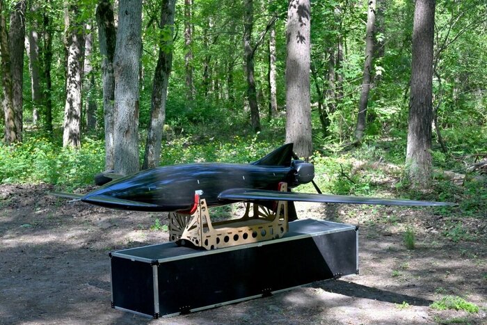 6. Бобер.